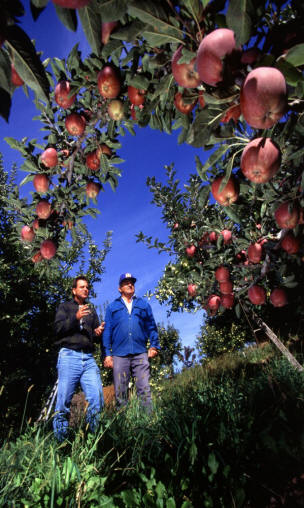 The Irrigators contact photo courtesy of USDA